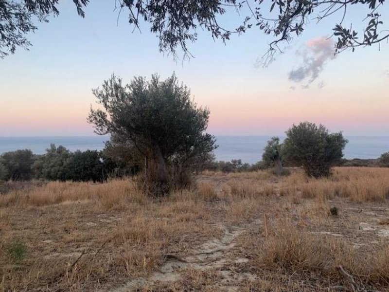 Ag. Paraskevi bei Triopetra Kreta, Agia Paraskevi: Bebaubares Grundstück in der Nähe der Strände Triopetra und Ligres zu verkaufen Grundstück kaufen